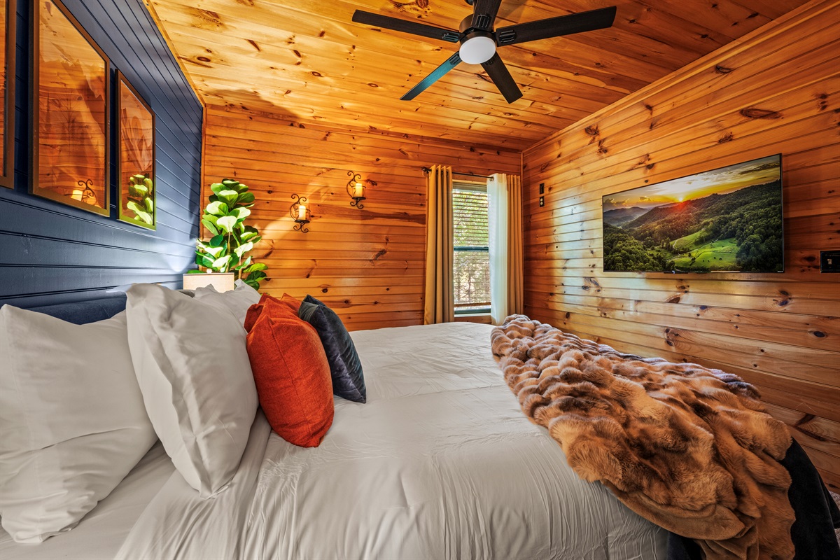 Enjoy your favorite movies or shows with endless streaming potential