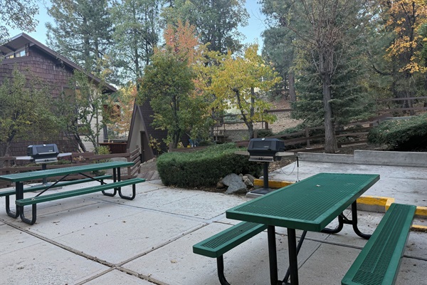 Gas BBQ and picnic table by the clubhouse
