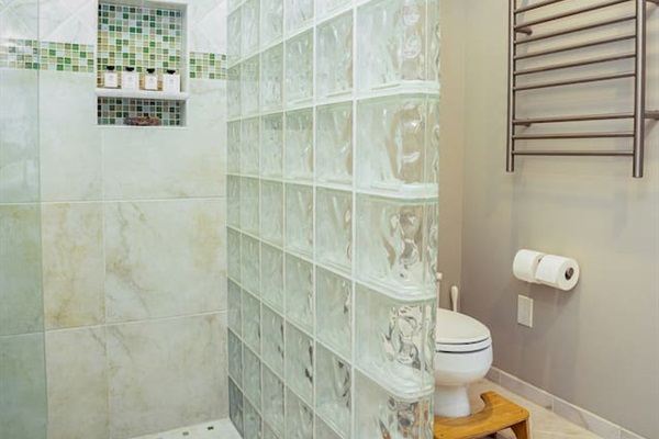 Primary bathroom with walk-in shower.