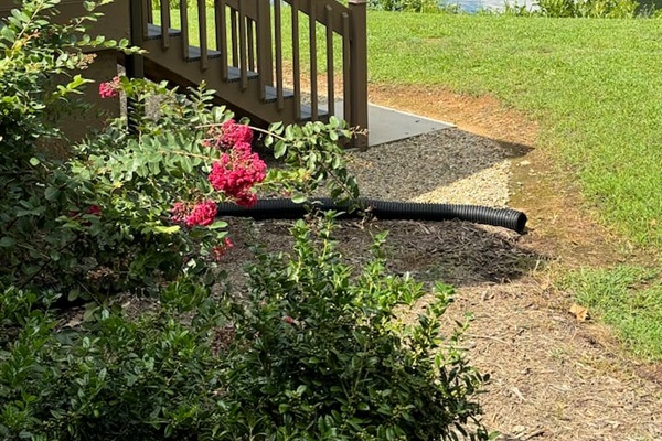 View from back deck