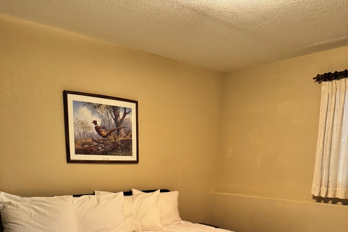 King Bed Purchased 2025