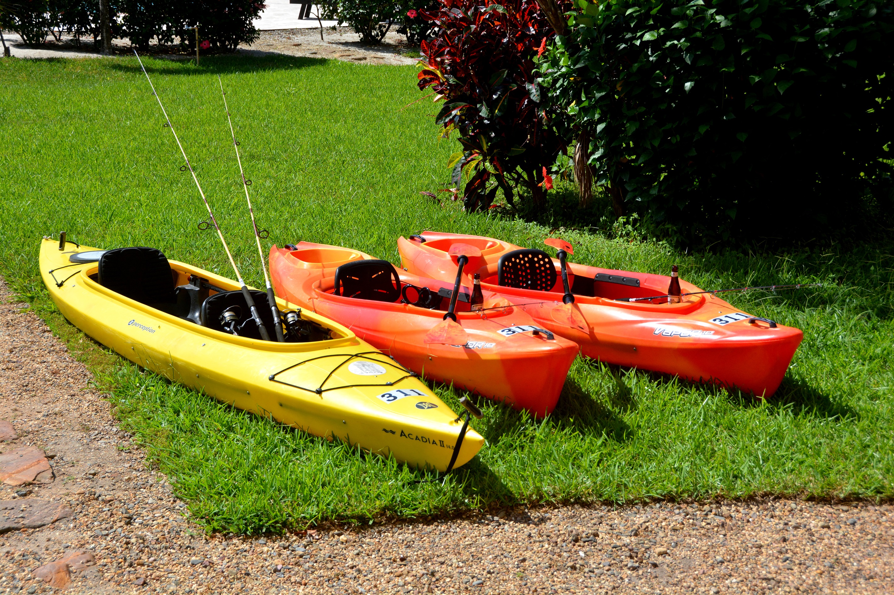 Kayaks and Fishing Rods