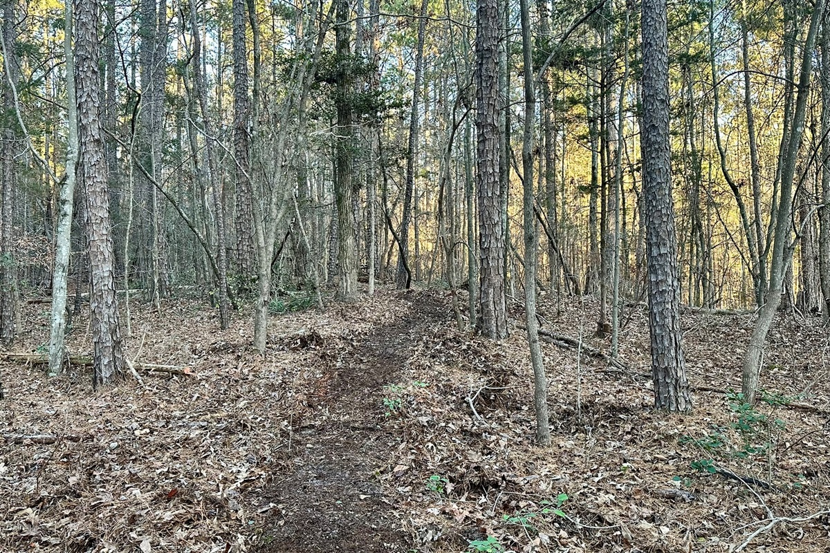 Trail to the Lake