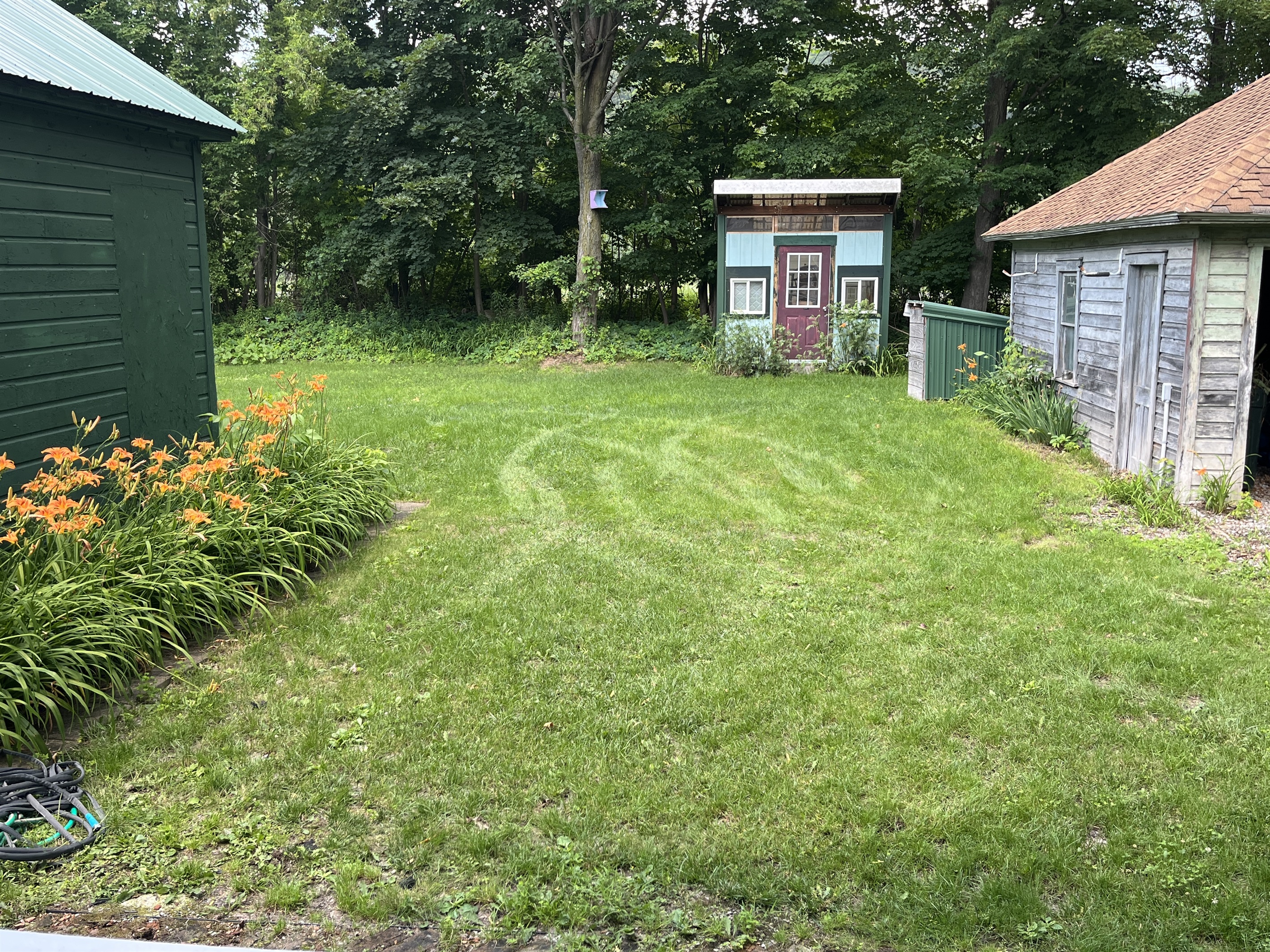 Backyard