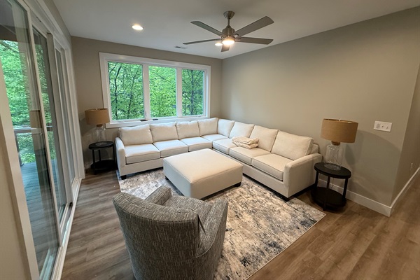 Downstairs recreation room