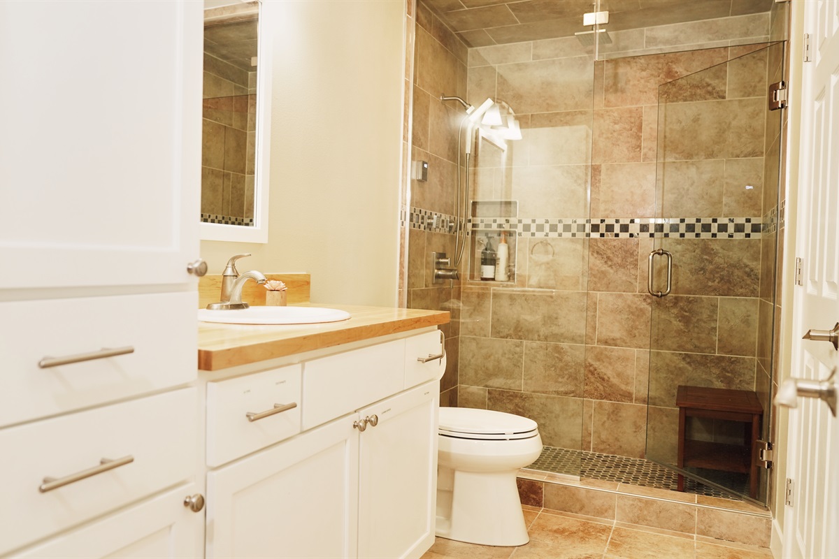 Steam Shower