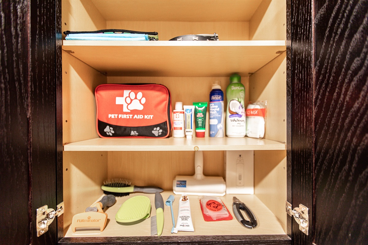 Dog Essentials
