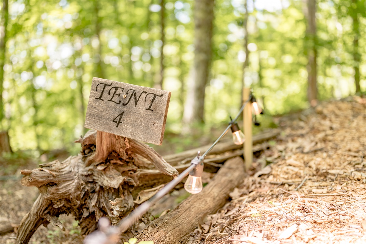 Adventure awaits at tent 4!