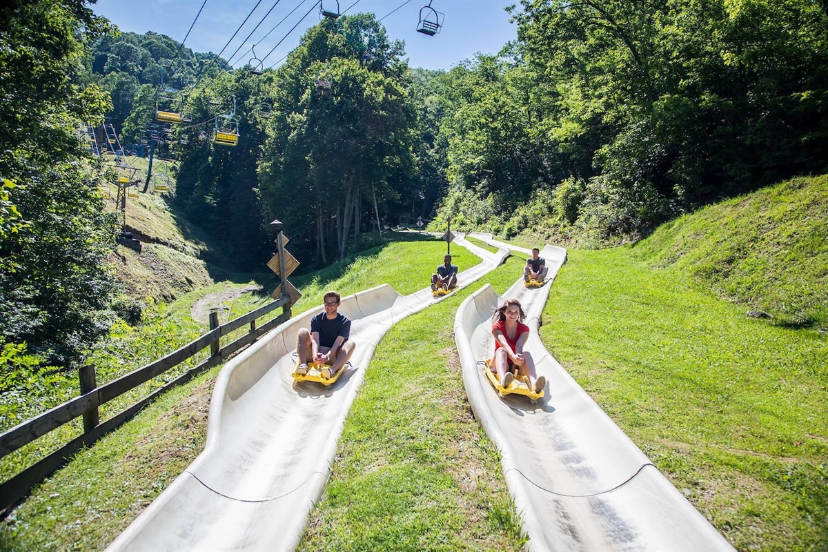 Perhaps a ride on the Alpine Slide? 