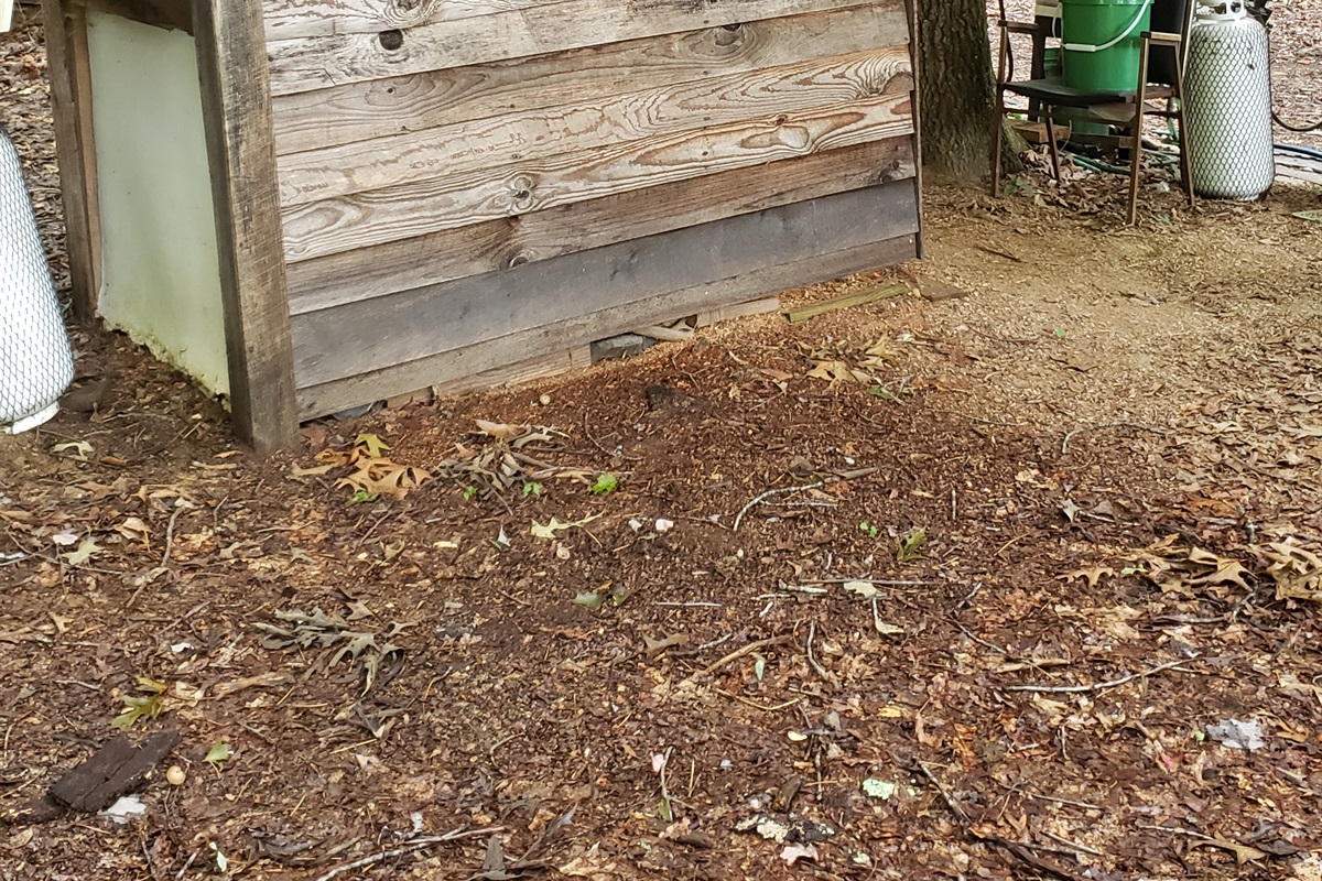 Treehouse Shower Bathroomo