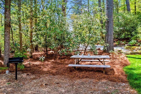 The park grill and picnic table rekindles a feeling of old-style camping.