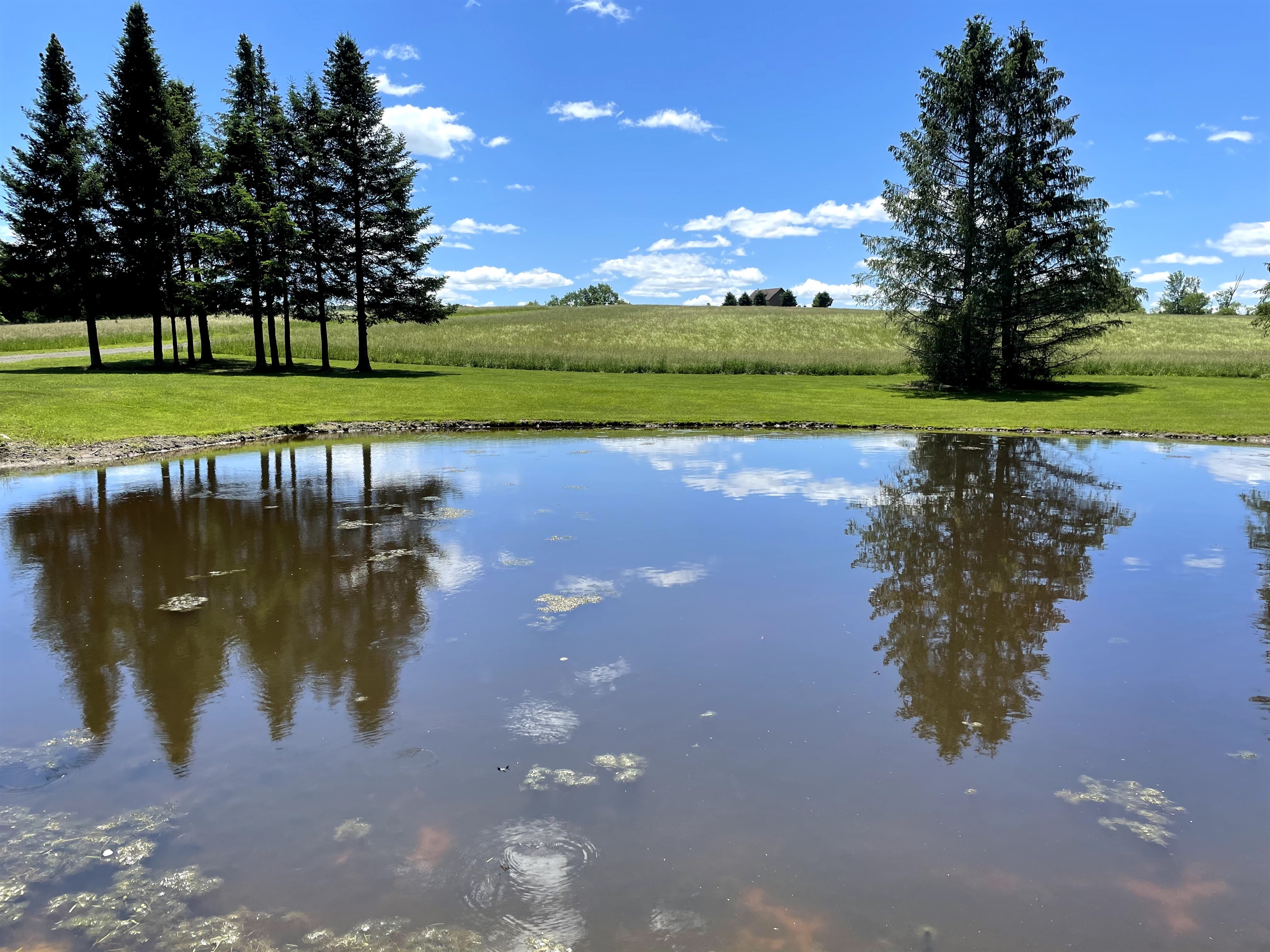 Pond looking across hay field to Skyview Acres