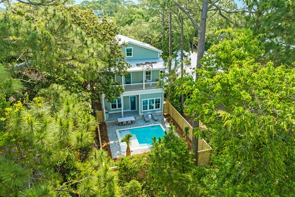 Aerial view of back yard