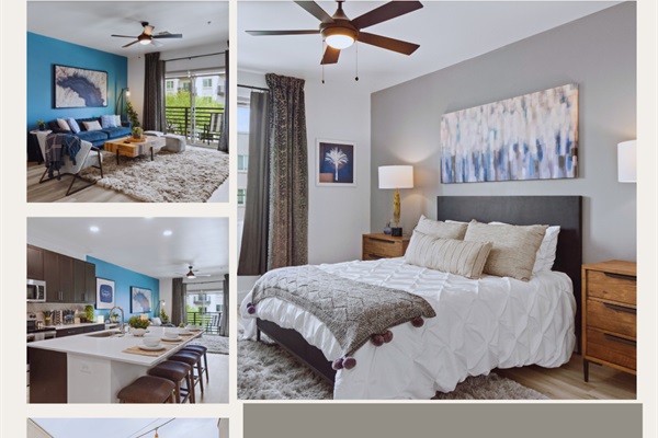 perfect for car lovers and event-goers.