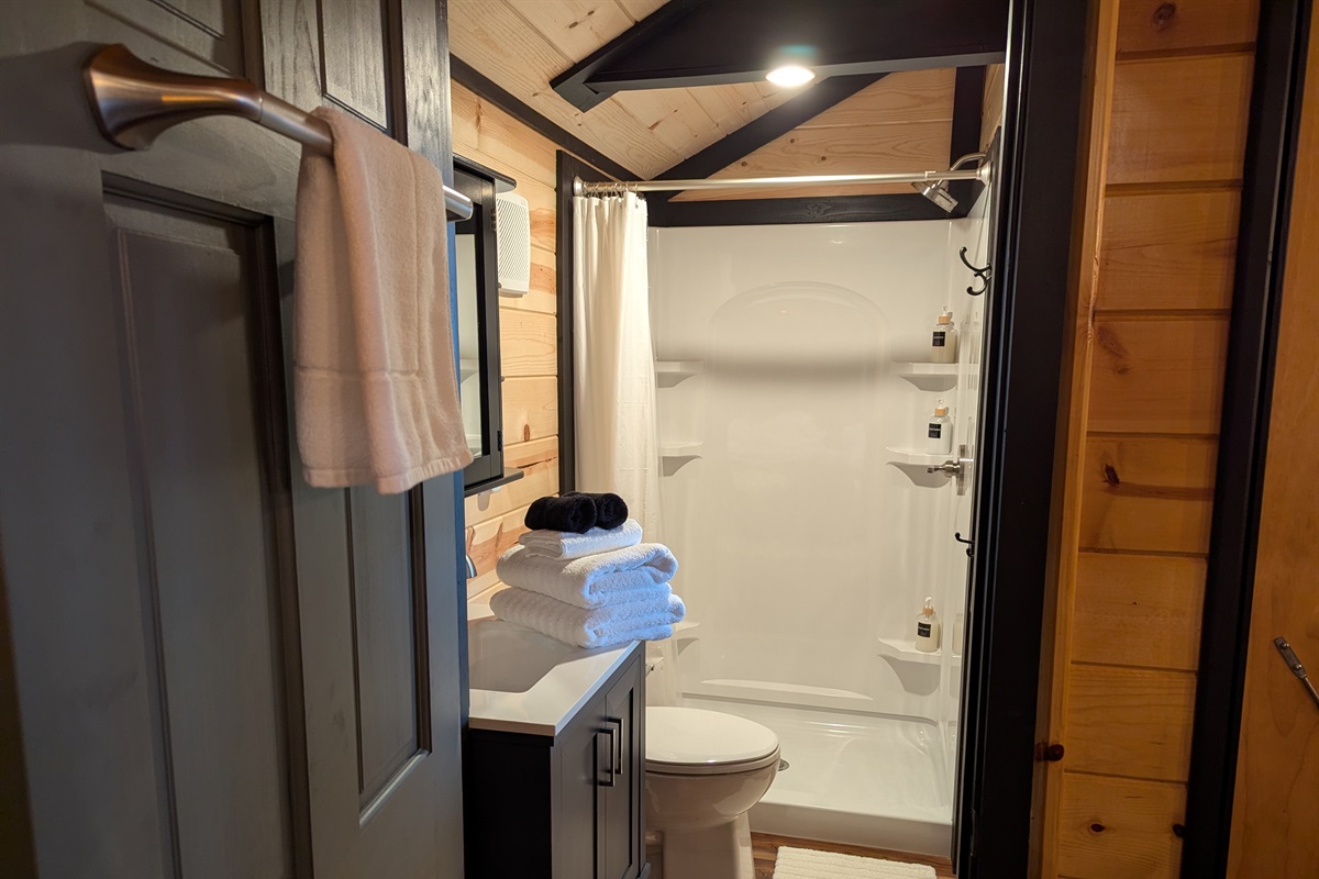 Private bathroom with walk-in shower