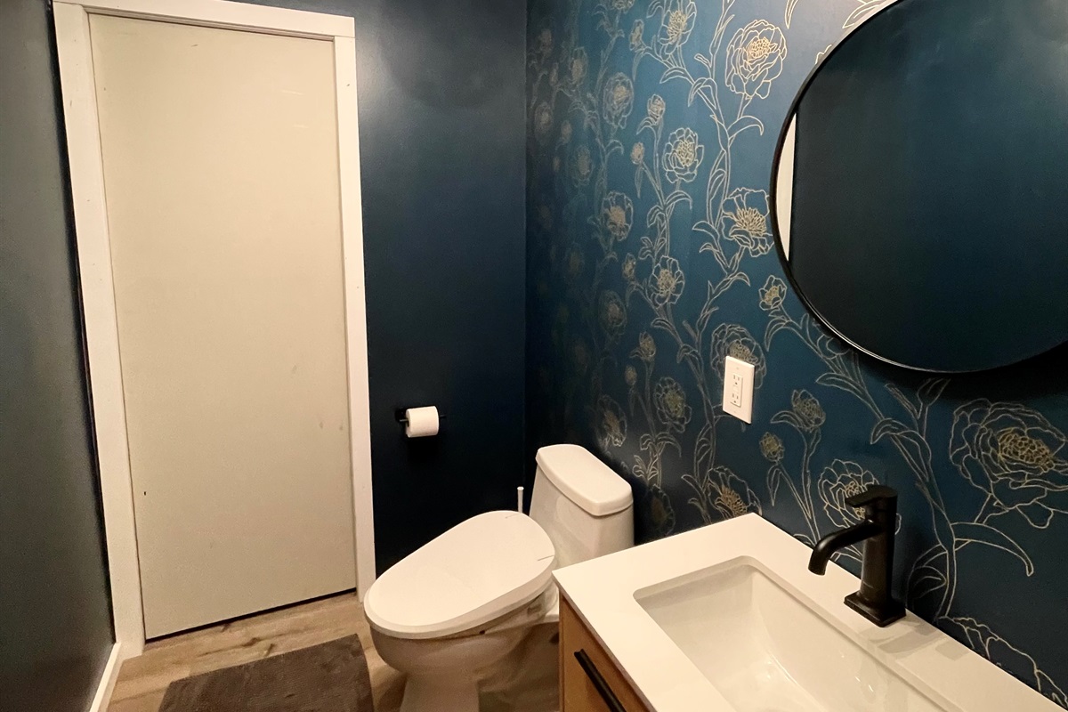 Half bathroom on the lower level