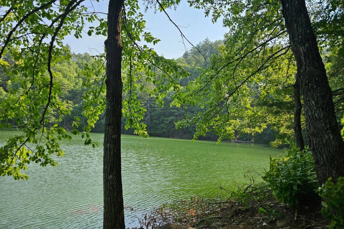 Serene Lakeview: Breathe in the tranquility while lounging by your private nature escape!