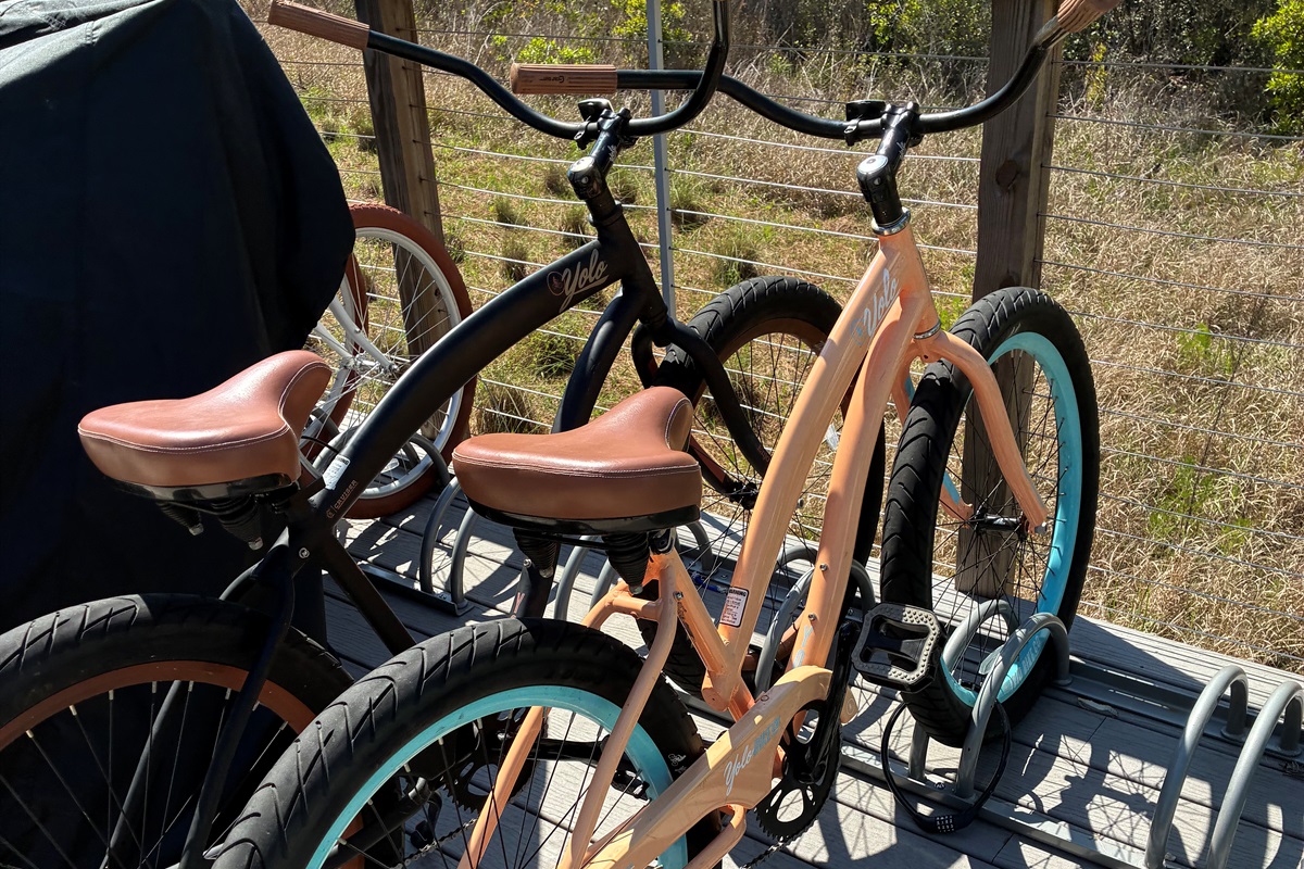 2 beach cruisers