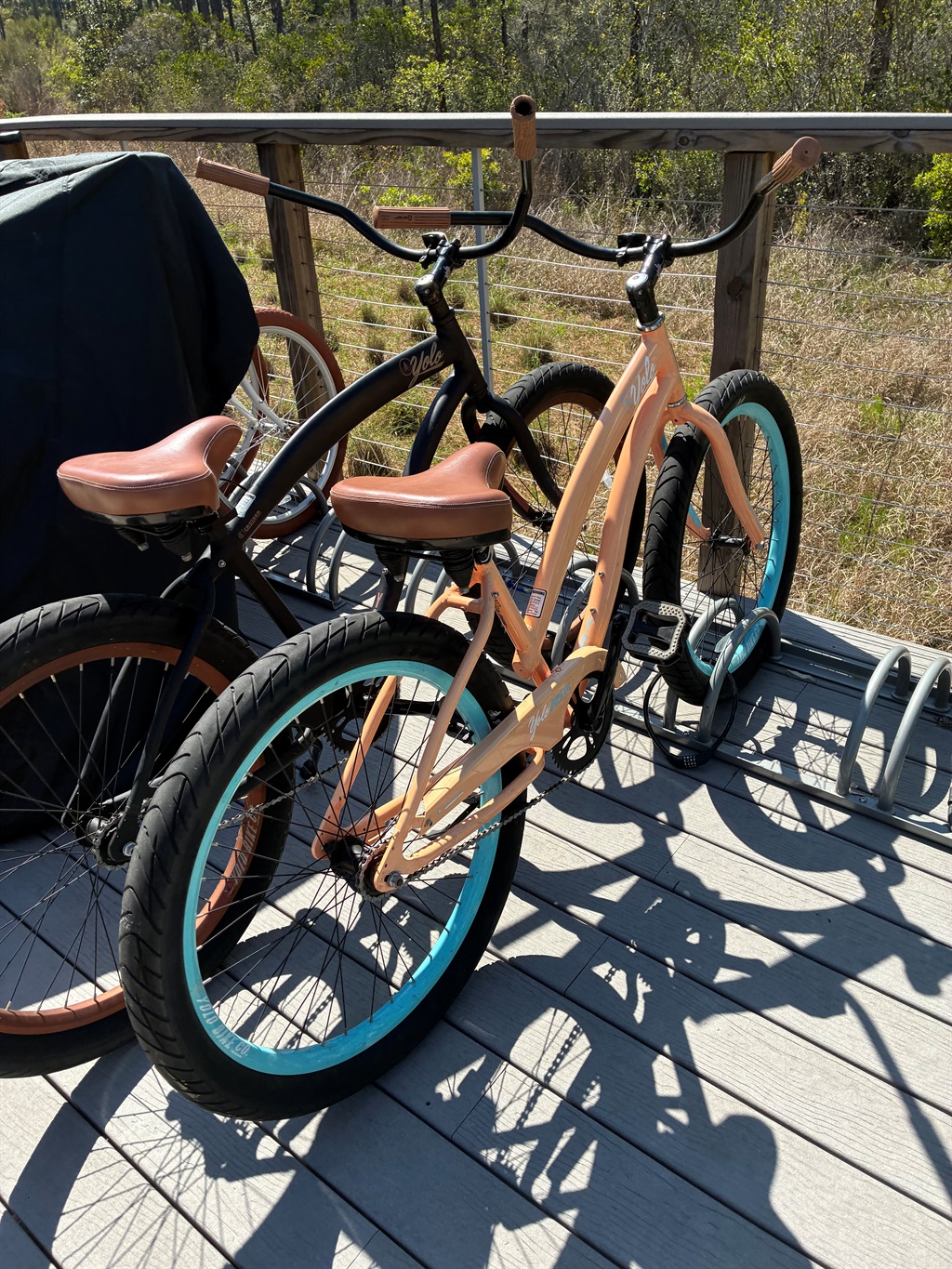 2 beach cruisers