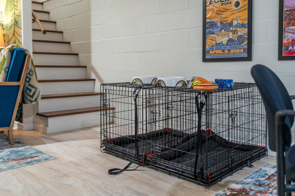 Bring the dogs too — Hot Springs Breakaway