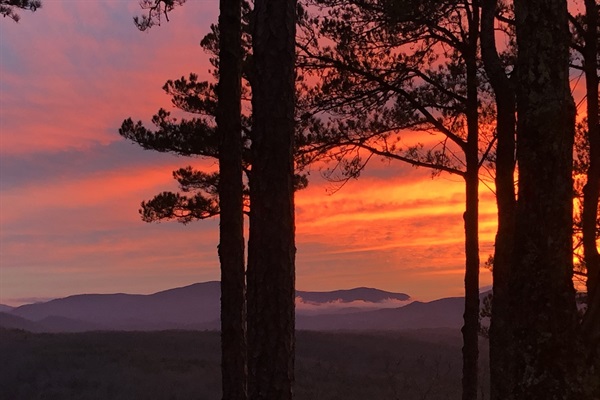 Sunset over the Blue Ridge Mountains, framed by towering pines just beyond the cabin.