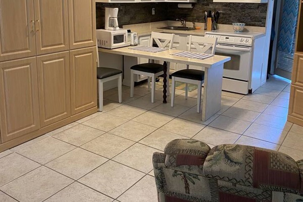 View of the studio - Murphy bed