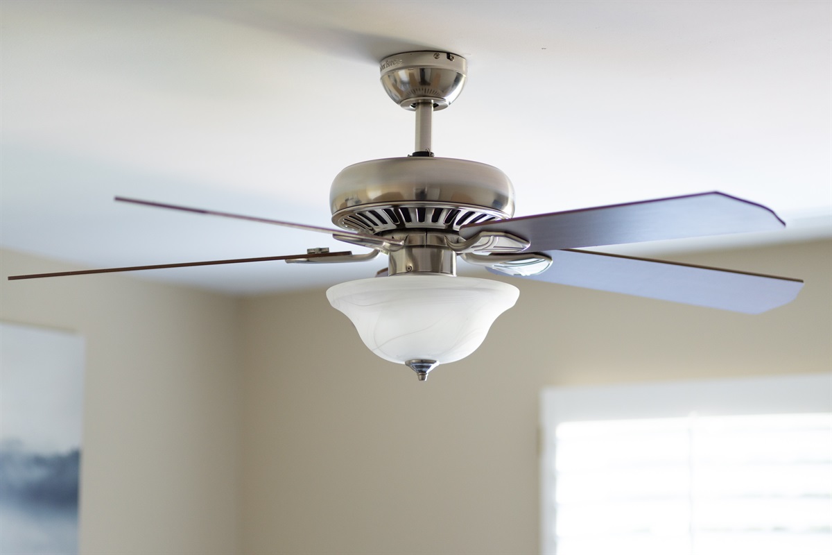 Fans in all rooms