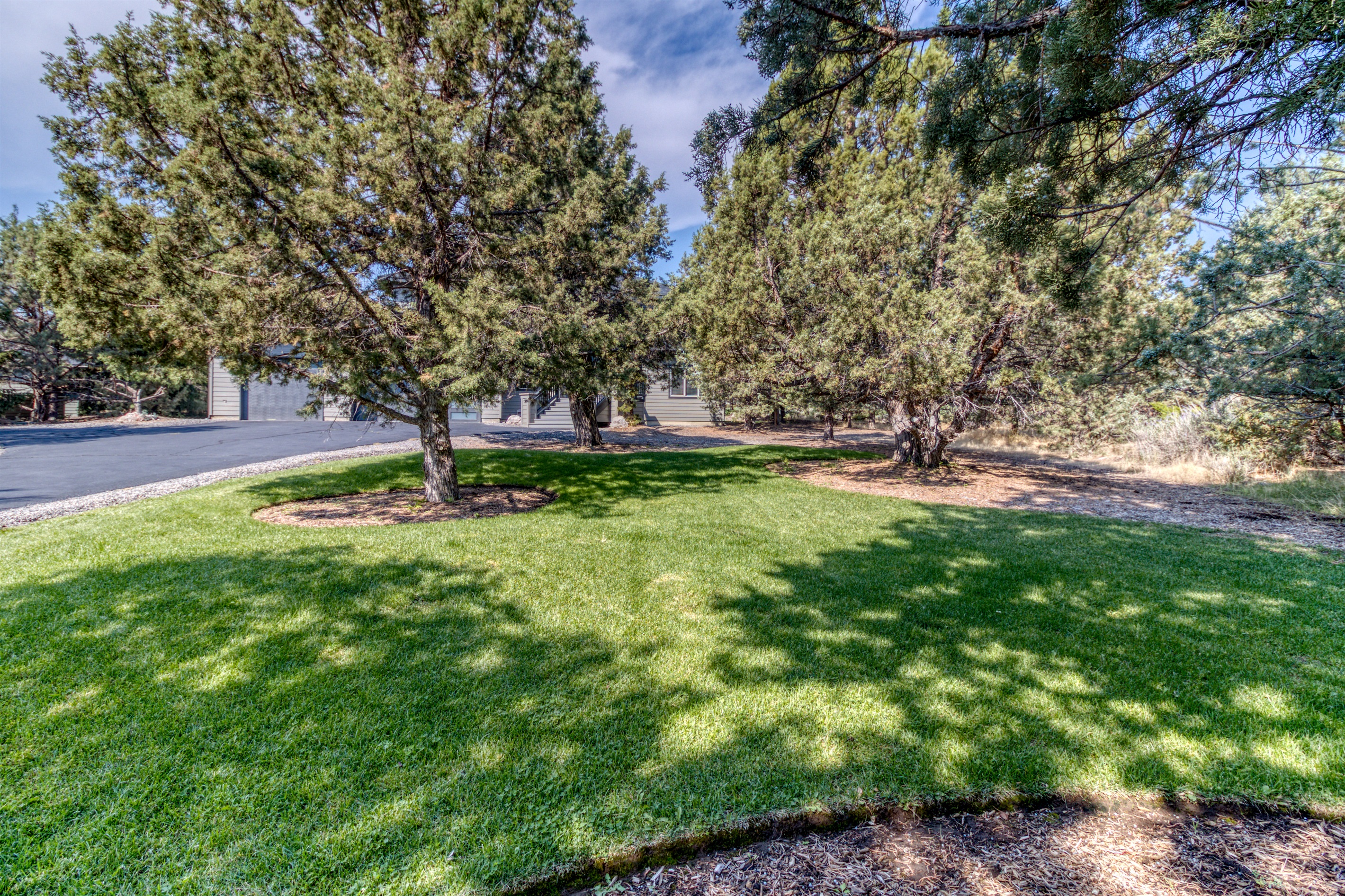 Welcoming front yard area home to lots of juniper trees & wandering deer.