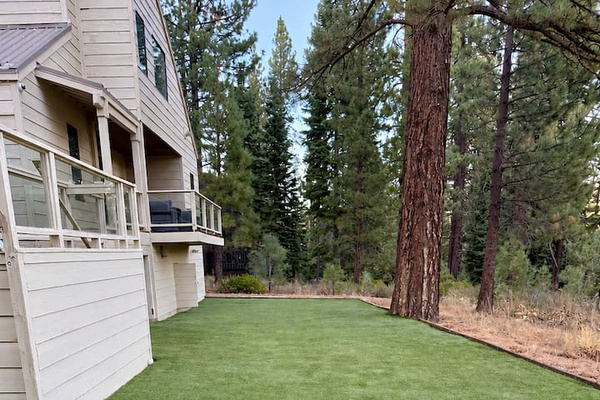 Expansive yard perfect for games!