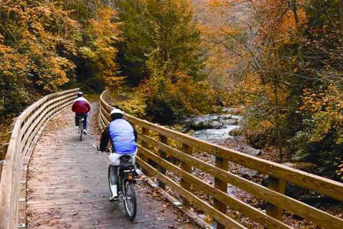 The Creeper Trail is a gorgeous place to bike or hike - especially in the fall!