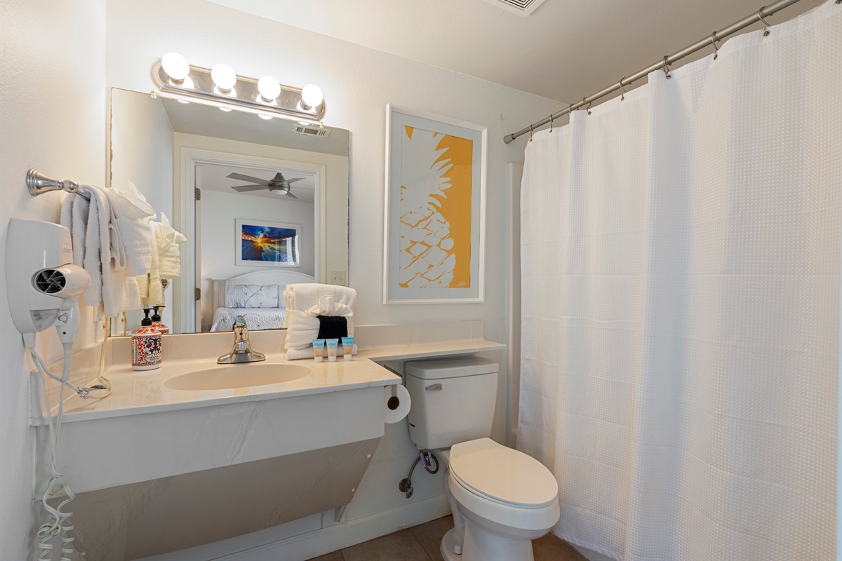 Guest Bath