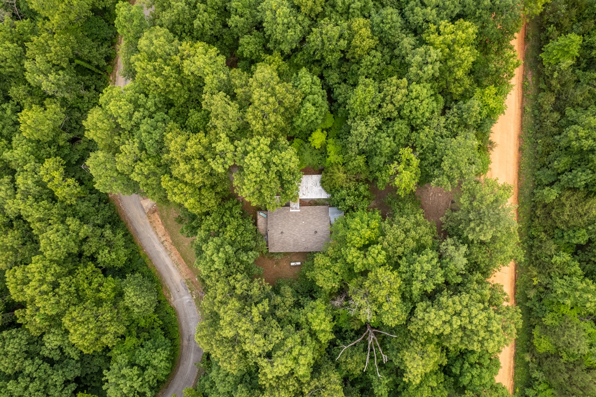 Cabin is nestled into the hillside between the lower city street and higher rural road