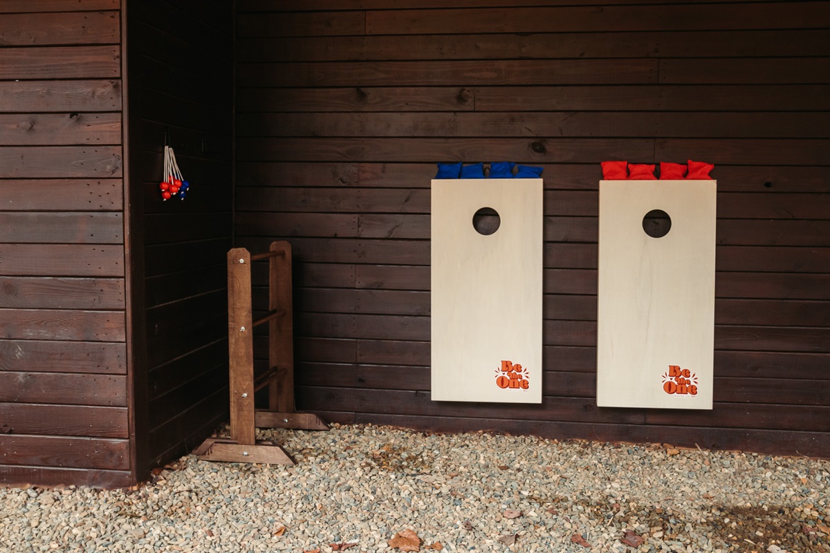 Corn hole and ladder ball