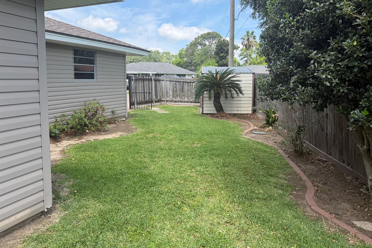 Backyard