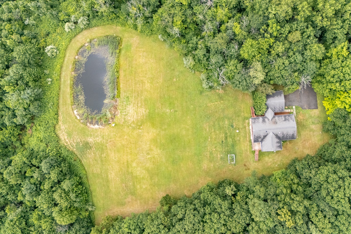 Escape the noise and surround yourself with trees, hills, and the comfort of your own slice of nature