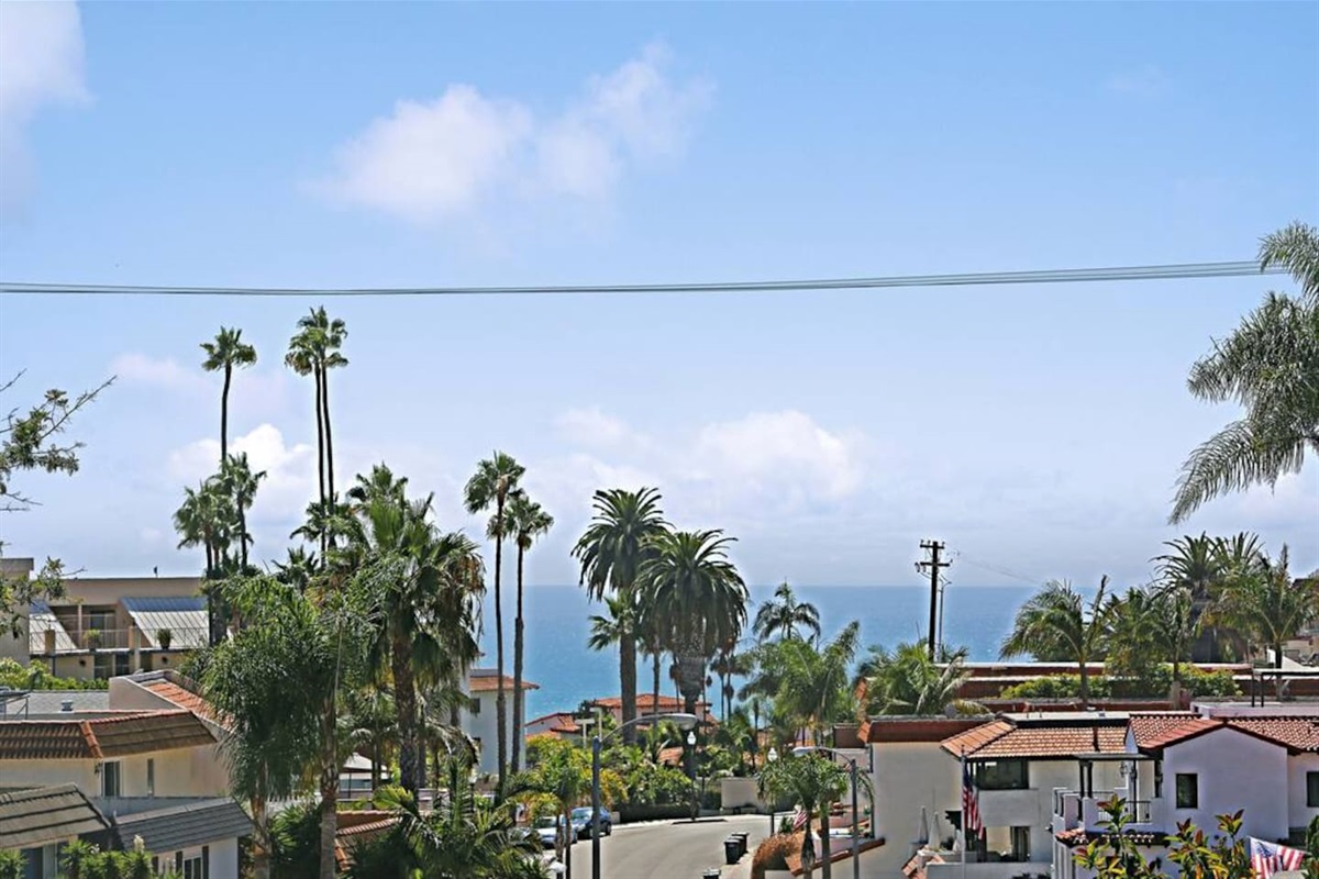 Additional picture of the view from the deck :)