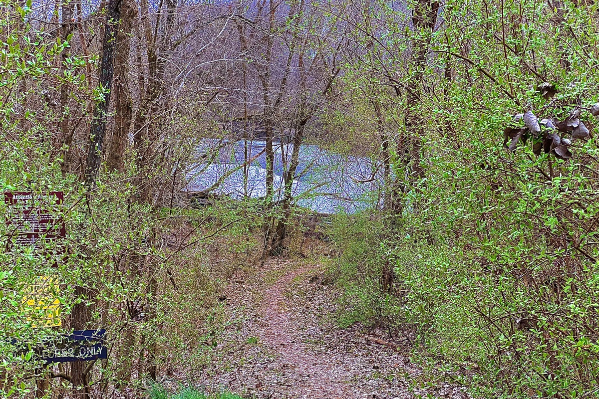 The trail behind the cabins leading down to the lake.