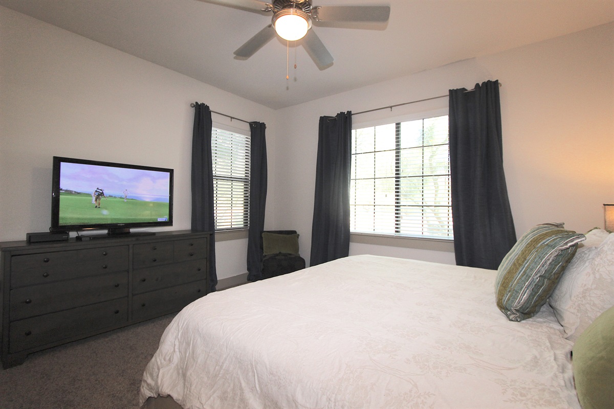 Master bedroom with King sized bed, walk in closet.
