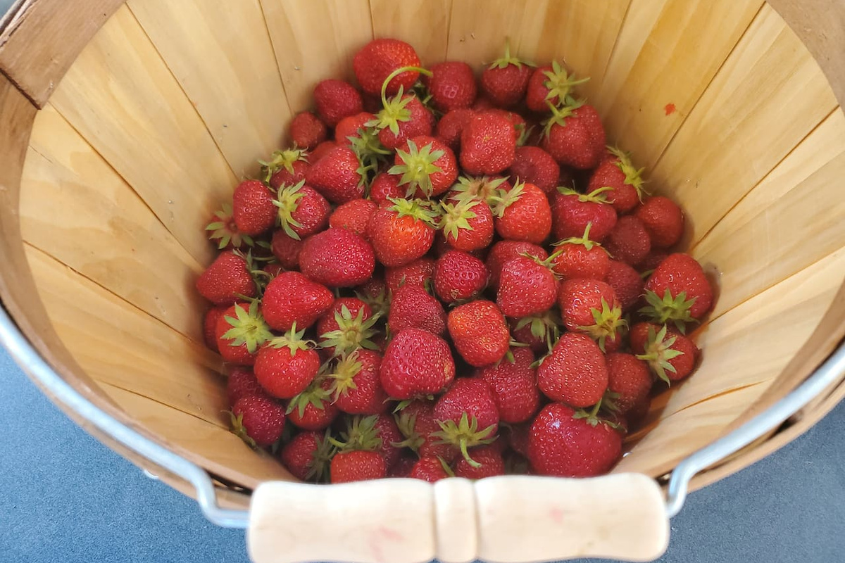 Produce