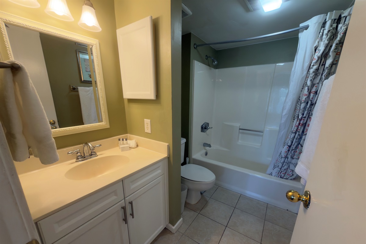 Main Bathroom