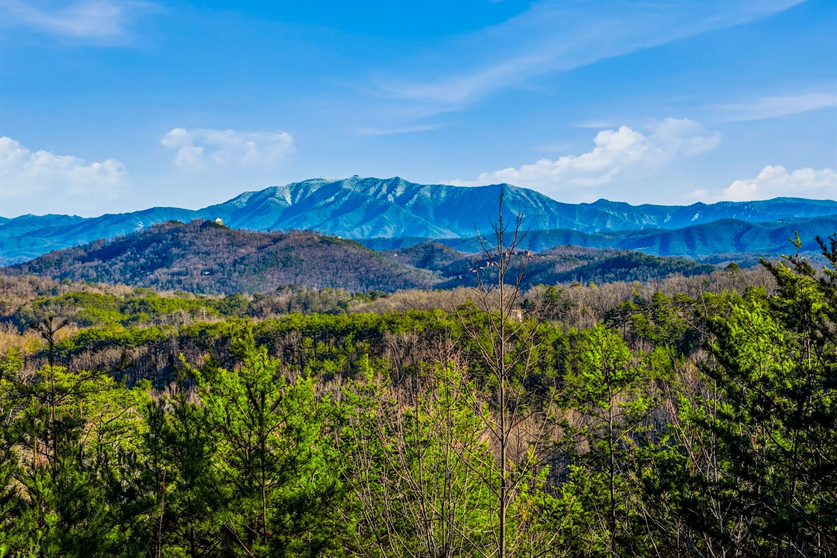 Gorgeous mountain views!