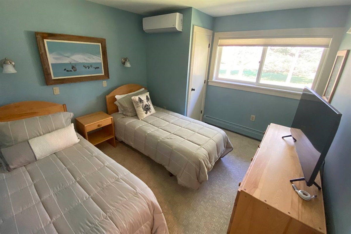 Guest room - two twin beds, ample natural light, closet, remote controlled AC and flat panel TV (smart TV, streaming only).