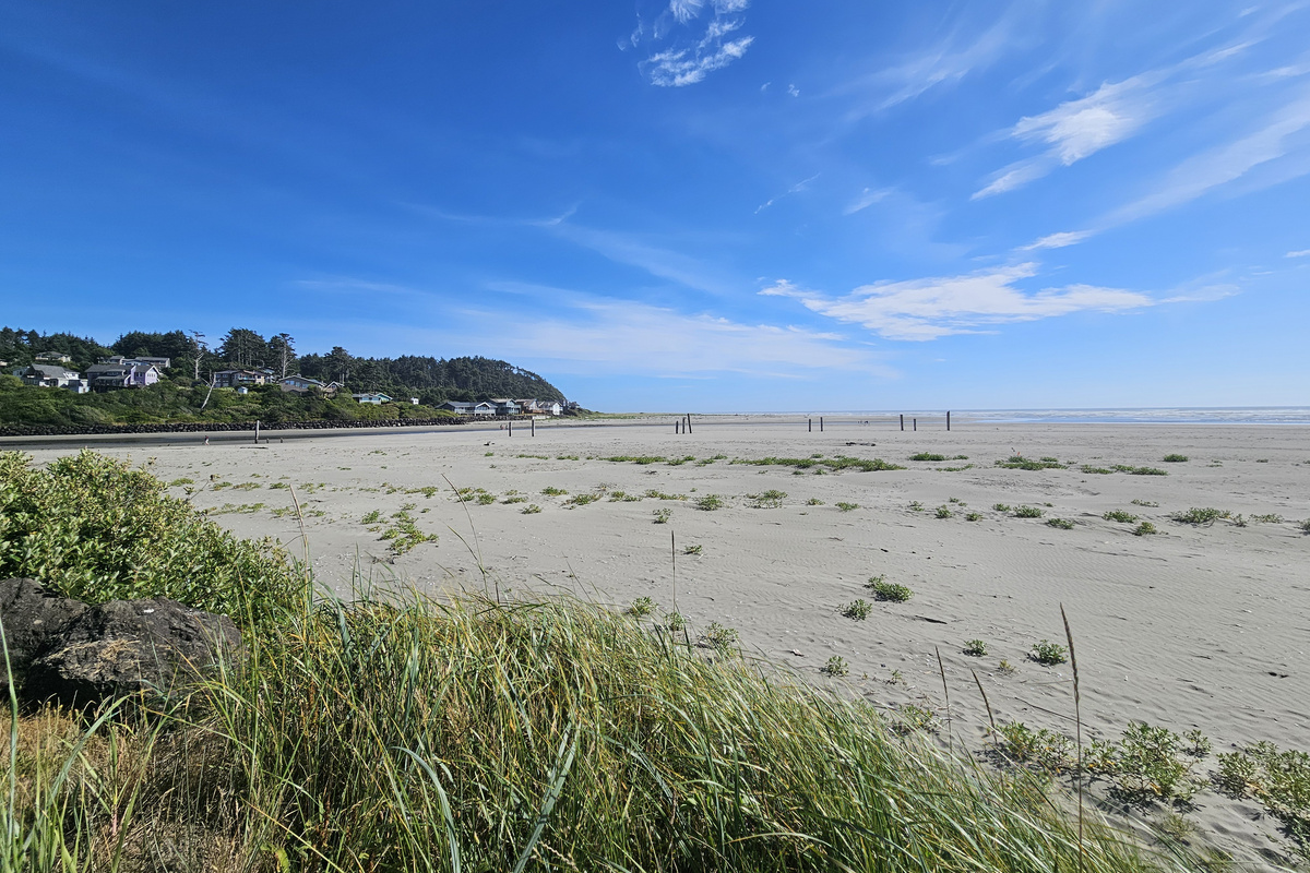 Joe Creek estuary at Pacific Beach State Park