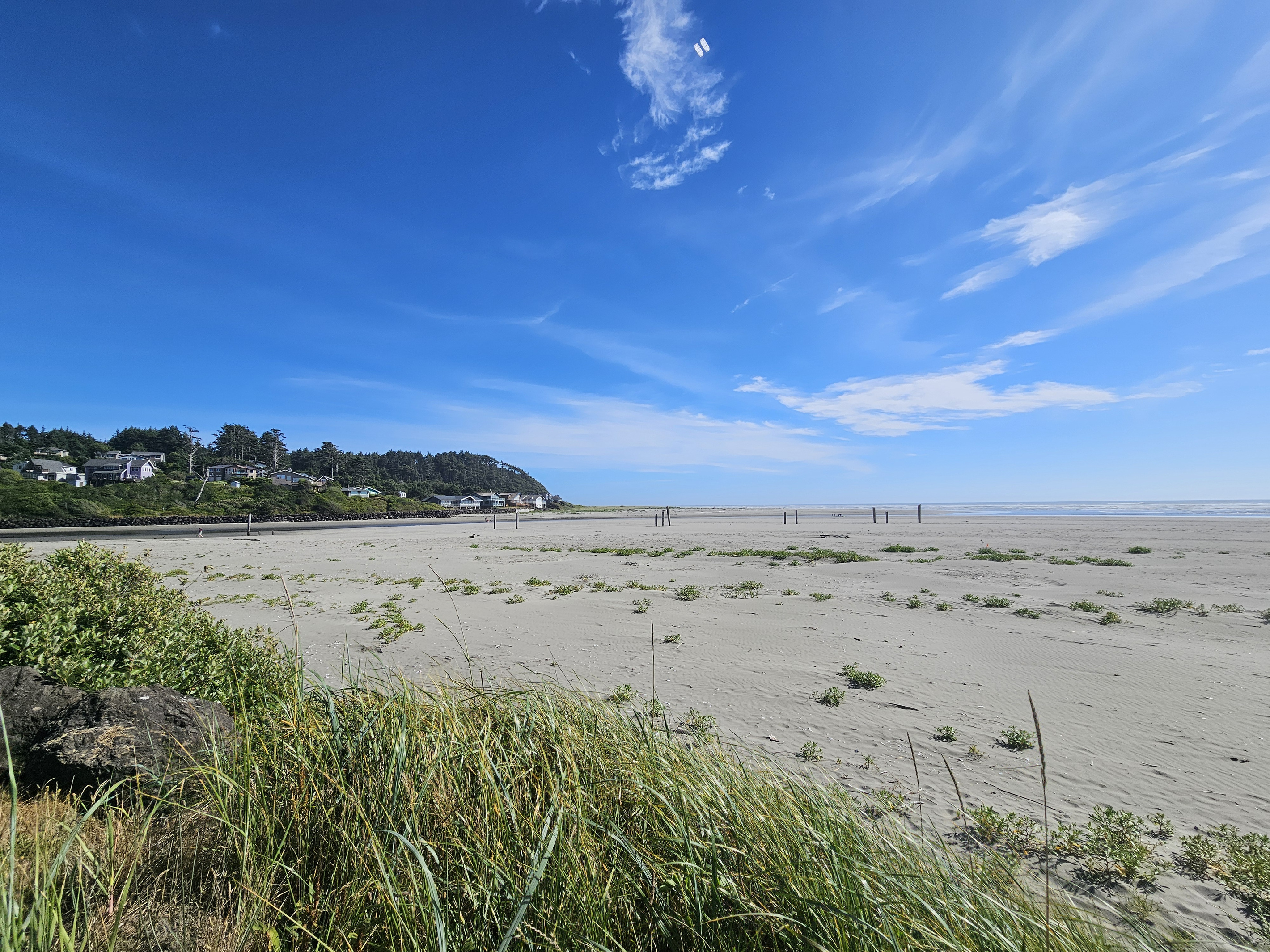 Joe Creek estuary at Pacific Beach State Park