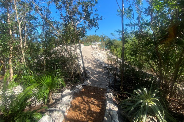 After passing through the woods you head up over a small ridge back towards the water.
