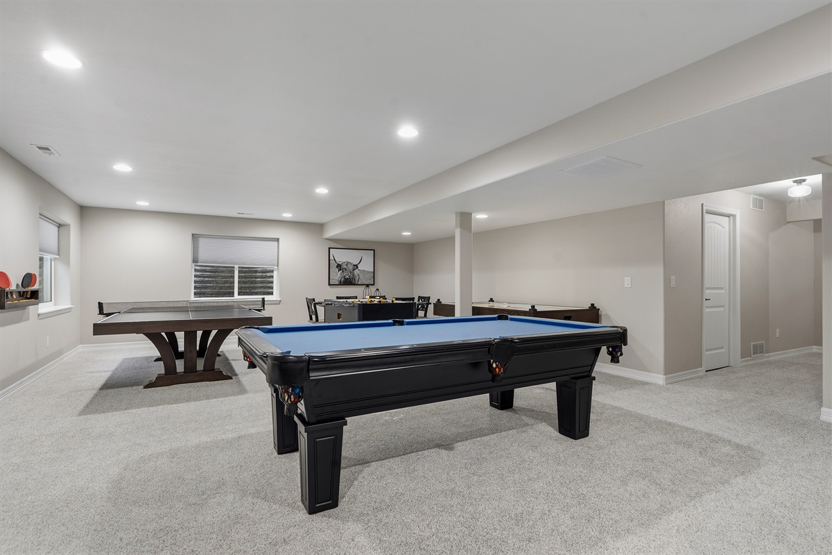 Basement Family Room