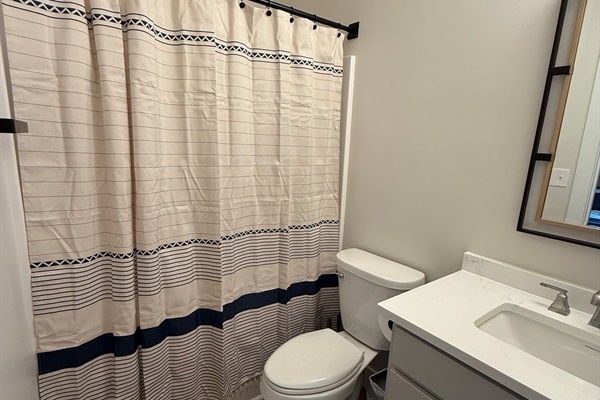 Downstairs master ensuite