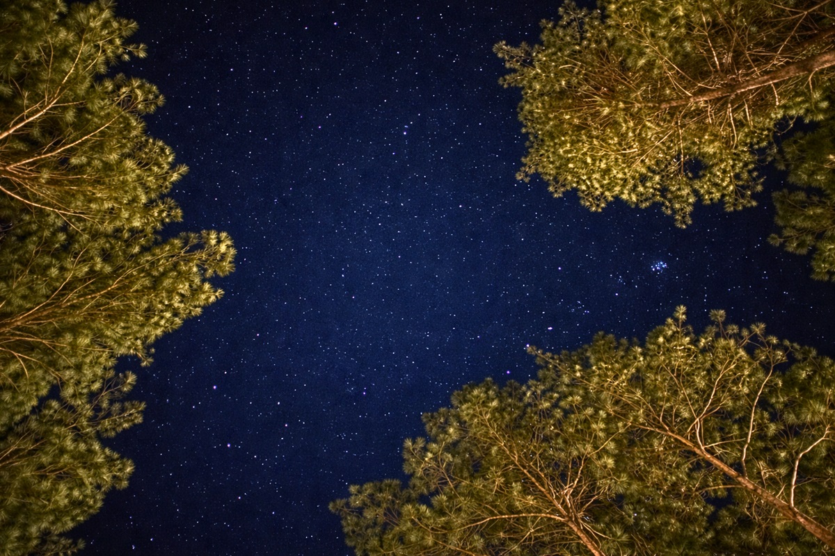 Marvel at the night sky and enjoy breathtaking stargazing views