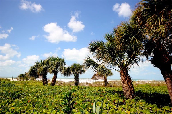 Private Beach Access