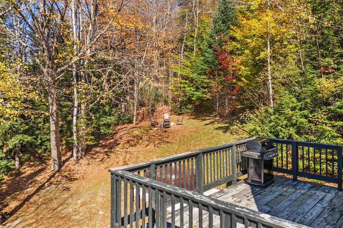Aerial of the yard with the fire pit